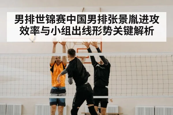 volleyball match net block