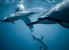 开云体育直播-“因扎吉德比”握手言和 球星哥哥追赶名帅弟弟